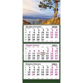 Календарь Полином на 2021 год 290x140 мм (Байкальская сосна)