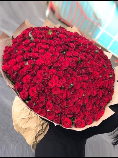Букет из 303 красных роз 70см "Премиум"