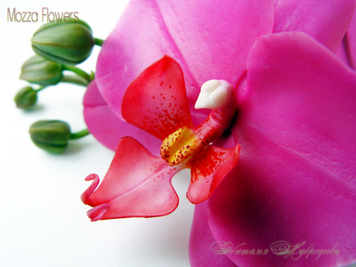 Комплект с орхидеями "Лилу". Цветы из полимерной глины.