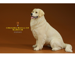 Белый ретривер (сидящий) - Коллекционная ФИГУРКА 1/6 scale Animal Model Golden Retriever 2.0 (MRZ057-1B) - Mr.Z