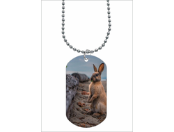 Жетон, кулон год Кролика №6