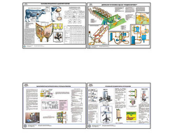 Плакаты ПРОФТЕХ "Механизация доения коров и первичная обработка молока" (15 пл, винил, 70х100)