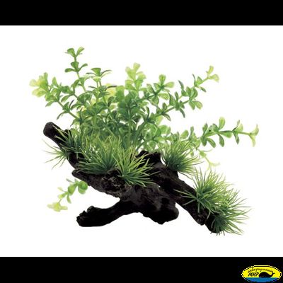 1130410 ART Композиция из иск. растений на коряге Микрантенум 15*12*12 см
