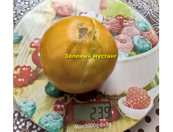 Томат Зеленый мустанг (Green Mustang)