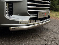 Защита передняя нижняя (овальная) 75х42 мм ТСС для Exeed VX 2023-