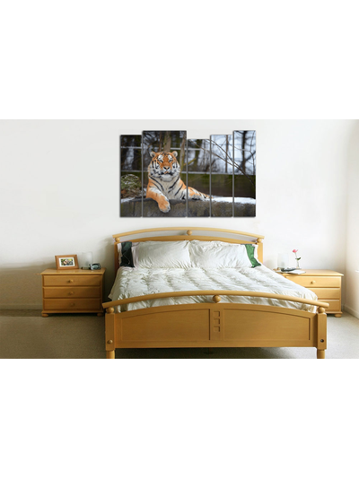 Модульная картина "Спокойный тигр"