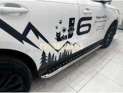 Пороги с накладным листом Папа Тюнинг d53 для JAECOO J6 2026-