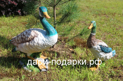 Садовая фигура Селезень Красавец 49*45см   2,5кг   полистоун Россия 2558/012540*