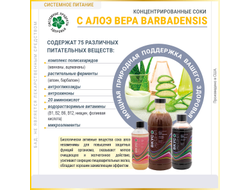 Концентрированный сок алоэ-папайя-асаи, 450 мл