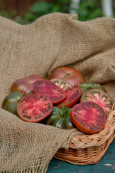 Томат Париж, 10 шт