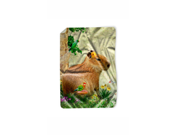 Покрывало Капибара, Kapibara-san №20