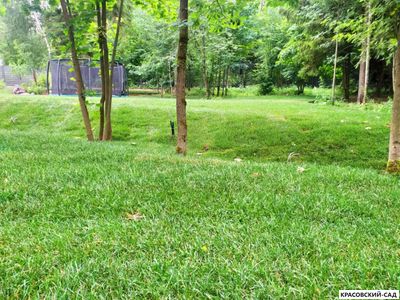 Рулонный газон Классика для дачи