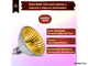 Muller Licht HLRG-520FG/Gold BAB/C 20w 12v 36° GU5.3