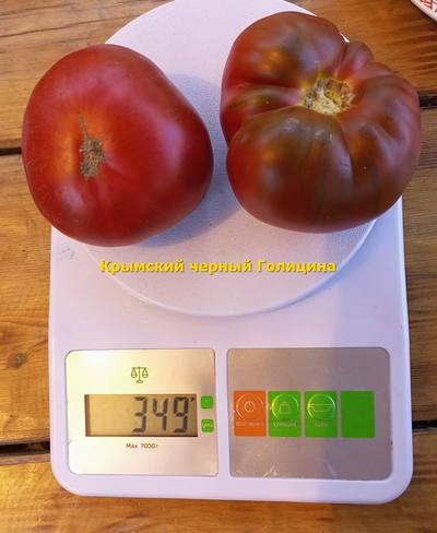 Томат Черный крымский Голицина