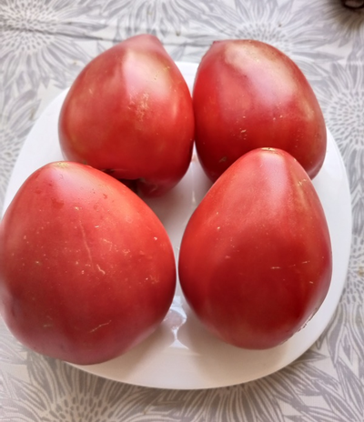 Томат Бабушка быка