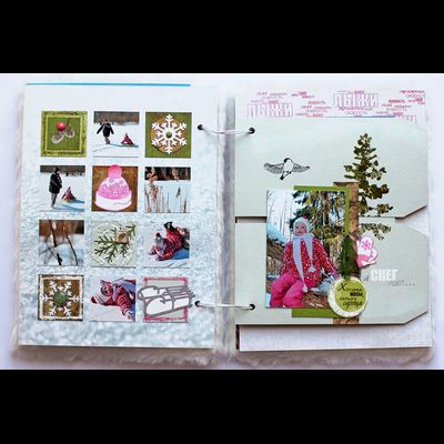 ФП штамп "Снегирь"