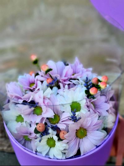 Хризантема, гиперикум и лимониум с Бабочками.№44