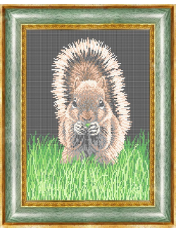 Белочка на травке, К3232