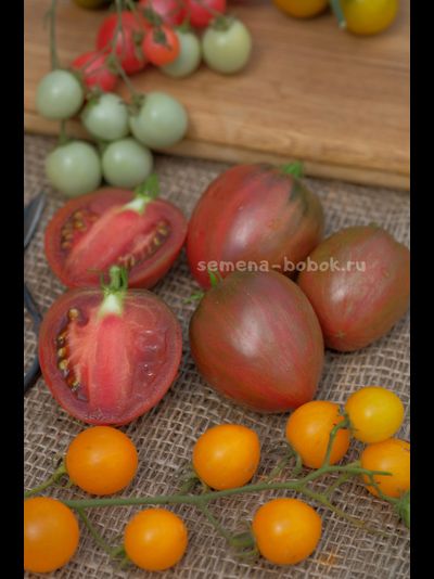 Томат Dwarf Grail (Гном Грааль), 10 шт