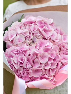 5 гортензий (цвет на выбор)