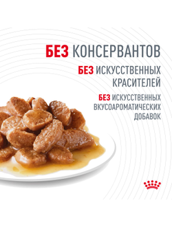 Royal Canin (Роял Канин)  Digestive Care Влажный корм (пауч) для кошек с чувствительным пищеварением, кусочки в соусе, 85 г