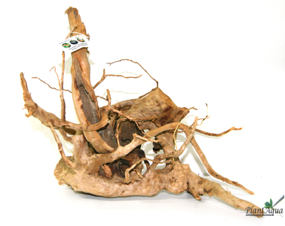 Коряга ПУСТЫННАЯ XXXL (40-50 см)