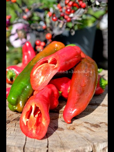 Перец сладкий Тронторолло, 10 шт