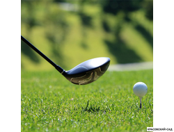 Рулонный газон Спортивный