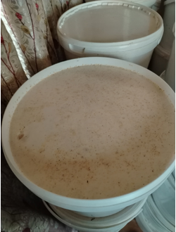 мёд оптом купить