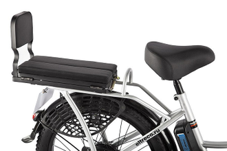 Электровелосипед GREEN CITY e-ALFA Fat 24/3, черный