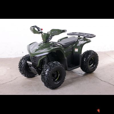 Квадроцикл GreenCamel Gobi K90 (20Ah 48V 750W R7 Дифф) LUX Bluetooth Темно-зеленый