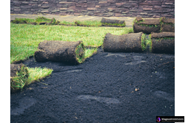 Укладка газона