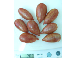 Томат Конфета сладкая сосулька (Candy Sweet Icicle)