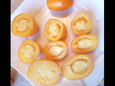 Томат Сливка Бендрика желтая