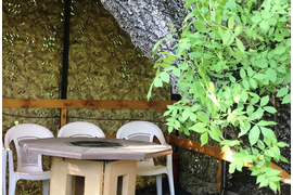 Мангальная и барбекю зона