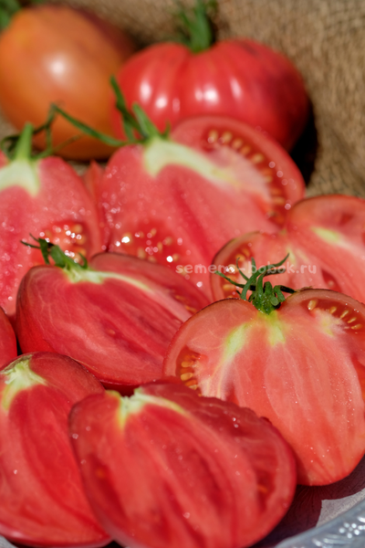 Томат Сержант Пеппер (Sgt. Peppers), 10 шт