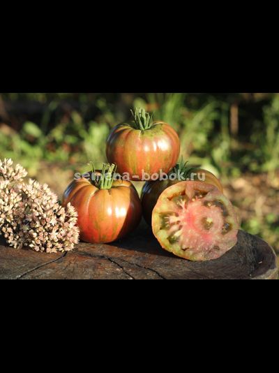 Томат Kozula 24 (Козула 24), 10 шт.