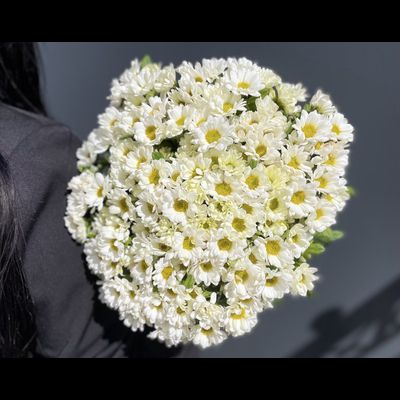 Сантини 15 шт