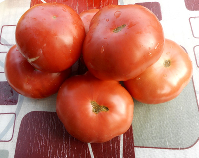 Томат Корнеевские