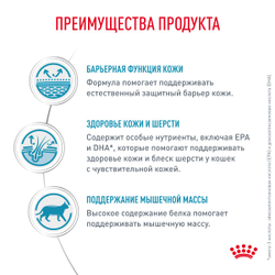 Royal Canin (Роял Канин) Skin&Coat Сухой корм для взрослых кошек при дерматозах и выпадении шерсти, 350 г