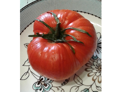 Семена томата Овиз Романиан джант