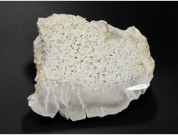 Халцедон виноградный, срез полированный, Россия, Северный Кавказ, КЧР, Усть-Джегутинский район (90*72*42 мм, 274 г) №27452