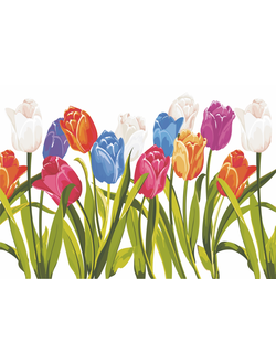 Фотообои "Тюльпаны "