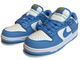 Nike Air Force 1 SB Dunk Low Unc