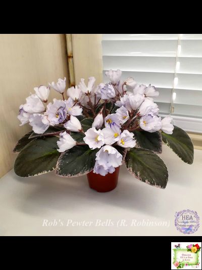 Rob&#039;s Pewter Bells (R. Robinson) 07/06/1992