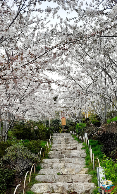 Крым на Майские с 1 по 9 мая