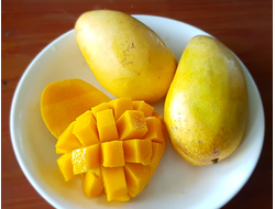 Манго раф. (баттер) 50 мл (30 гр) Индия