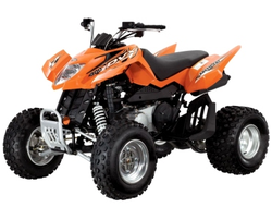 Arctic Cat DVX 300