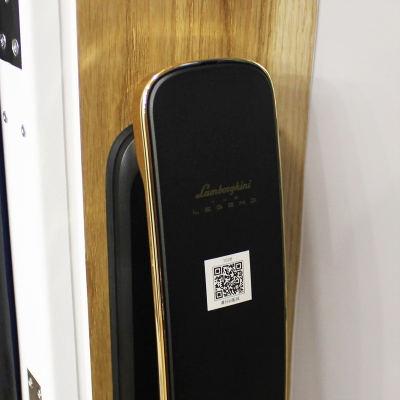Стальная дверь   Lamborghini. Заказная модель.