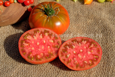 Томат Cowboy (Ковбой), 10 шт